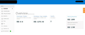 Earning Proof with adwords
