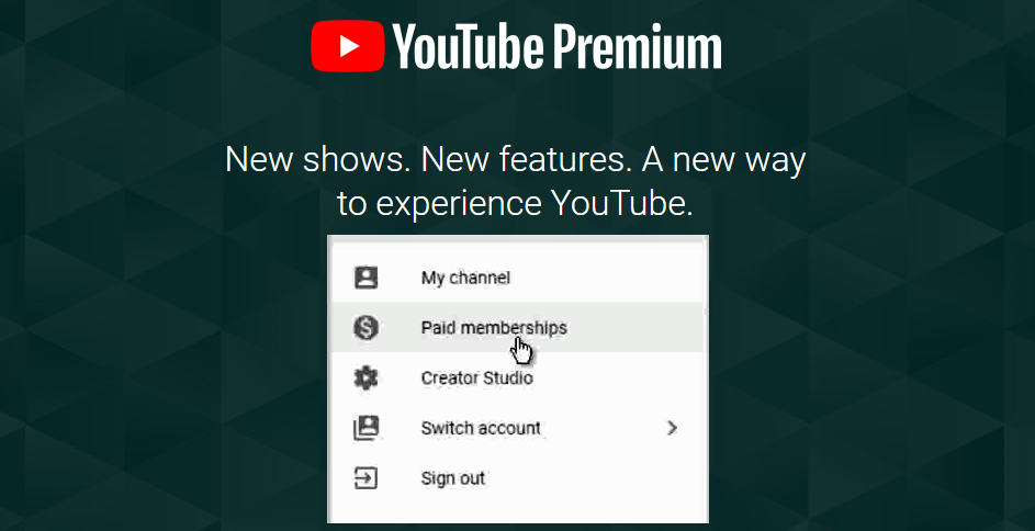 YouTube Paid Feature