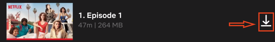 Netflix Download Button