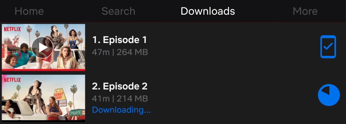 Netflix download section